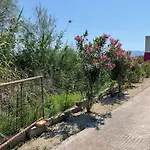 Pomegranate Apartament *