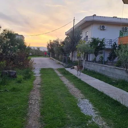 Pomegranate Vlorë