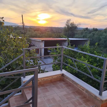 Pomegranate * Vlorë