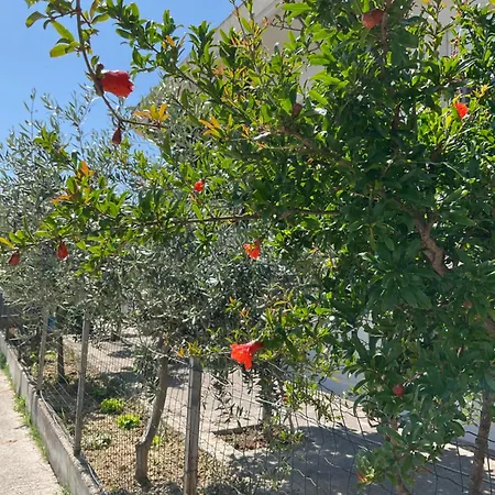 Apartment Pomegranate *