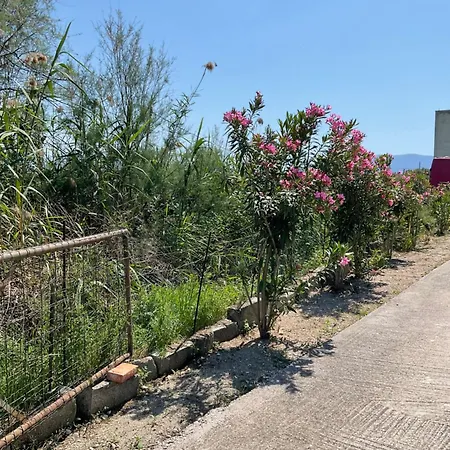 Pomegranate شقة *