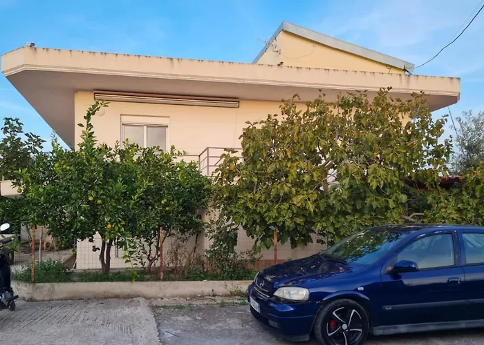 Pomegranate * Vlorë