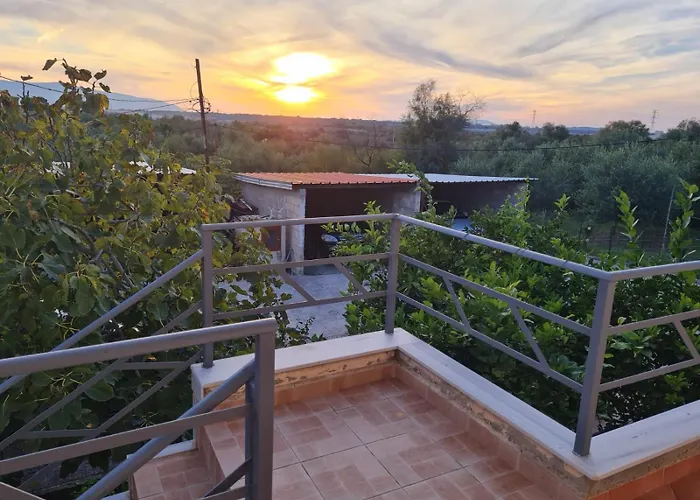 Pomegranate * Vlorë