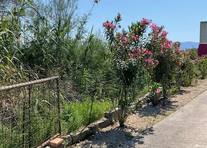 Pomegranate アパート *